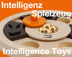 Intelligenz-Spielzeug