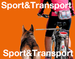 Sport & Transport