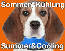 Sommer & Kühlung