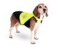 Preview: Sicherheitsweste für Hunde