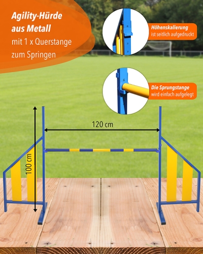 Agility Hurdle