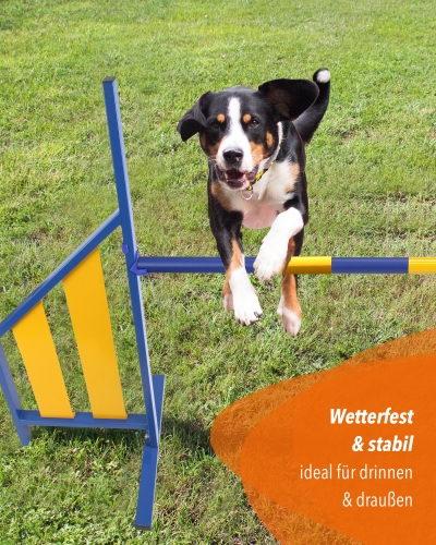 Agility Hurdle