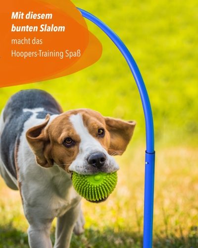 Hoppers-Slalom-Kunststoff