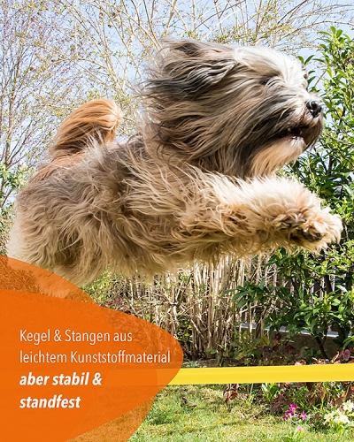 Kegelhürde 50