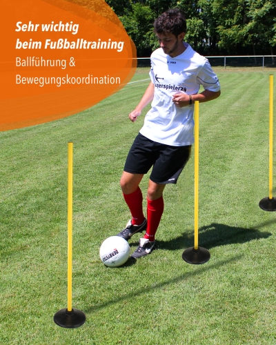 Scheibenfuß Slalomset