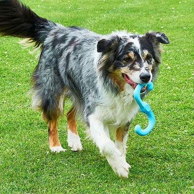 Bumi Tug Toy