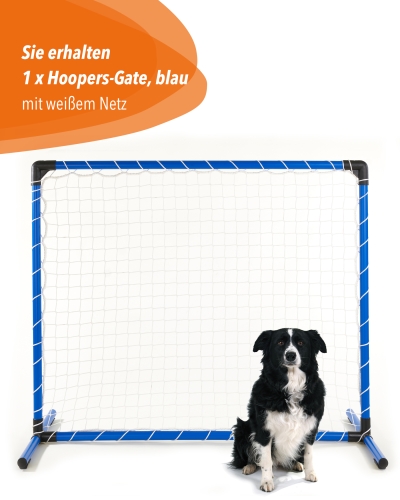 Hoopers Zaun aus Kunststoff