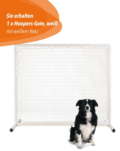 Hoopers Zaun aus Kunststoff