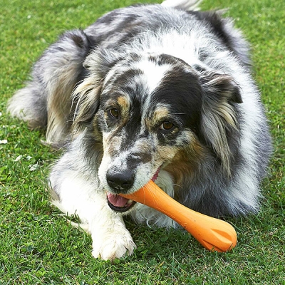 Hurley Dog Bone