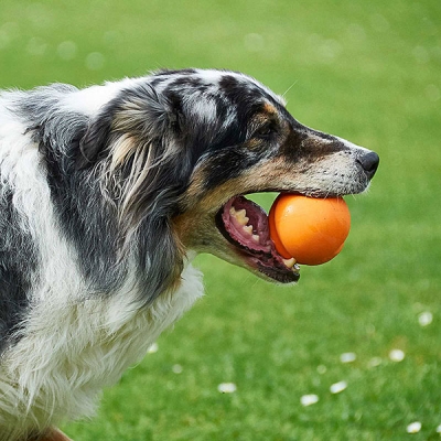 Jive Dog Ball