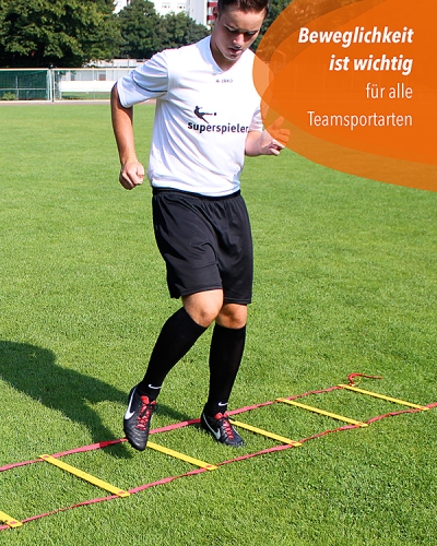 Koordinationsleiter-6m