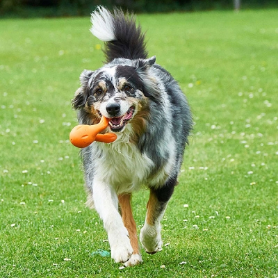 Tizzi Dog Toy