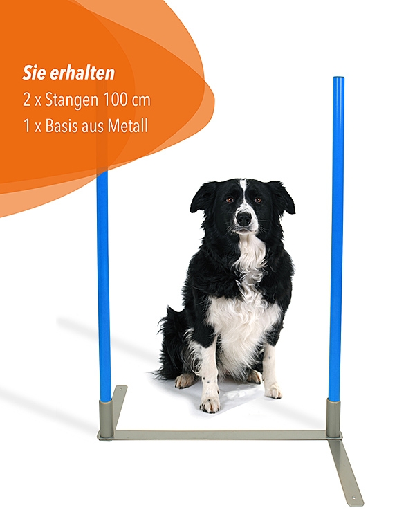 2by2 Weave Poles