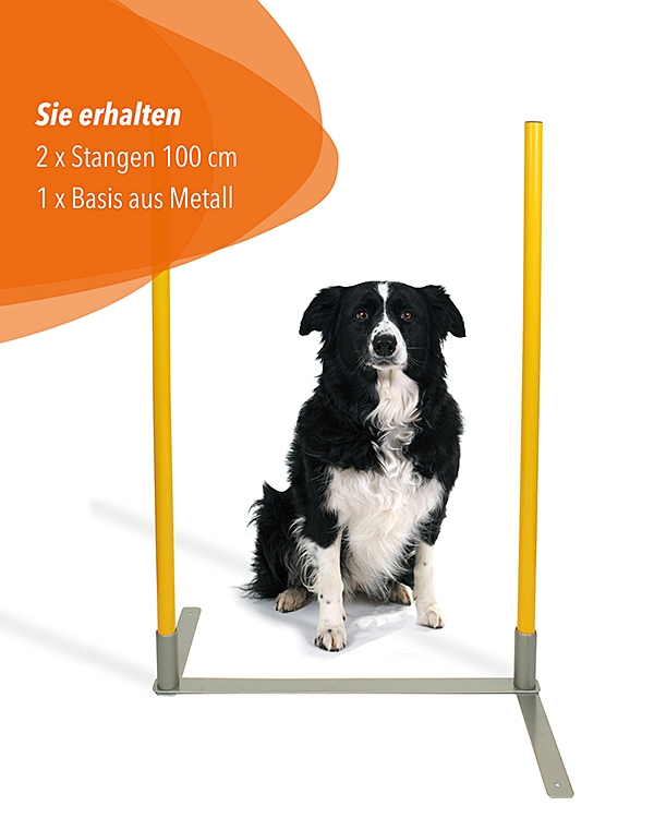 2by2 Weave Poles