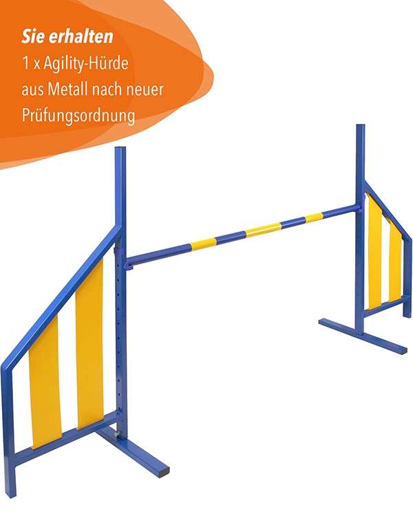 Agility Hurdle