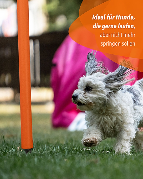 Hoopers-Bogen-Kunststoff