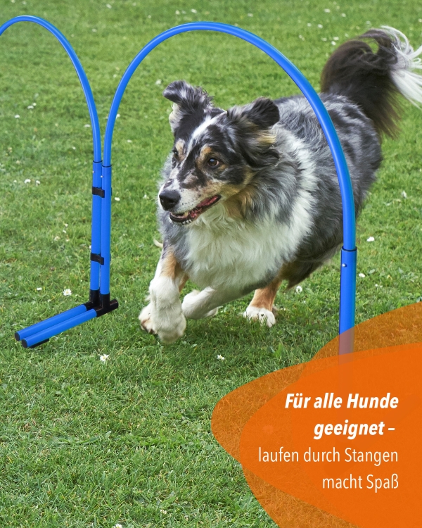 Hoppers-Slalom-Kunststoff