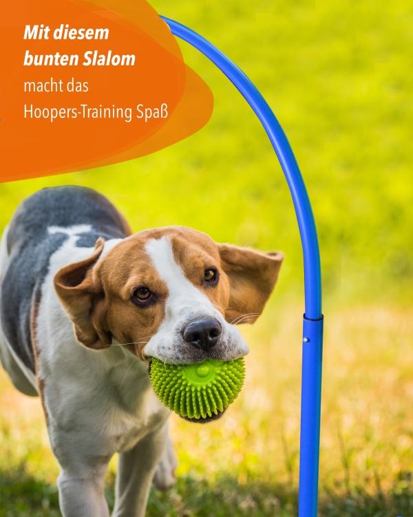 Hoppers-Slalom-Kunststoff