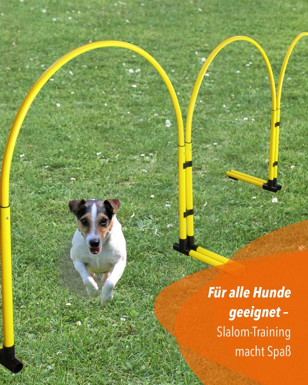 Hoppers-Slalom-Kunststoff