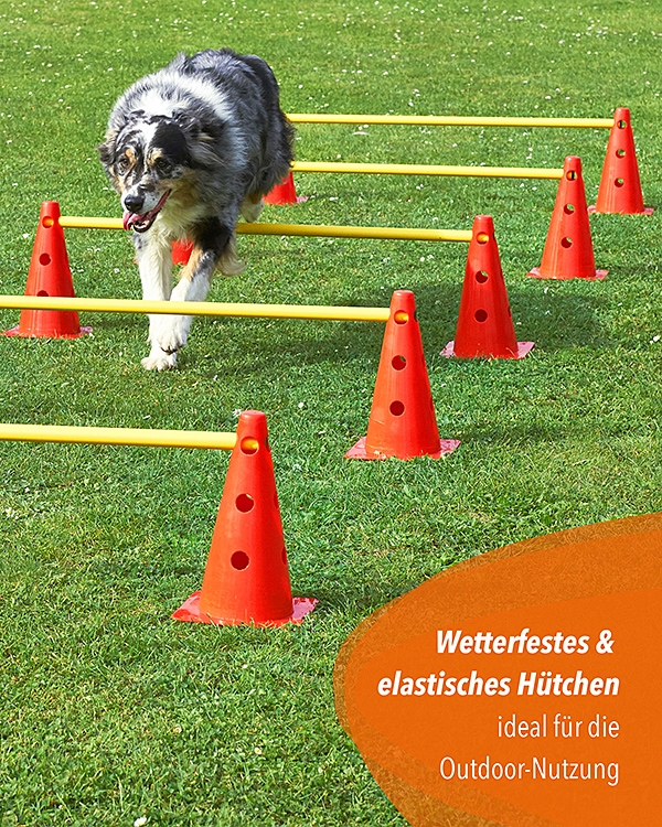Kegelhürde 5er Set