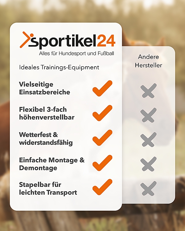 Tasche Kegelhürde 5er Set