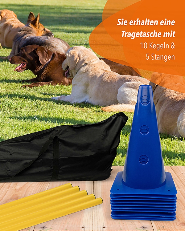he Kegelhürde 5er Set