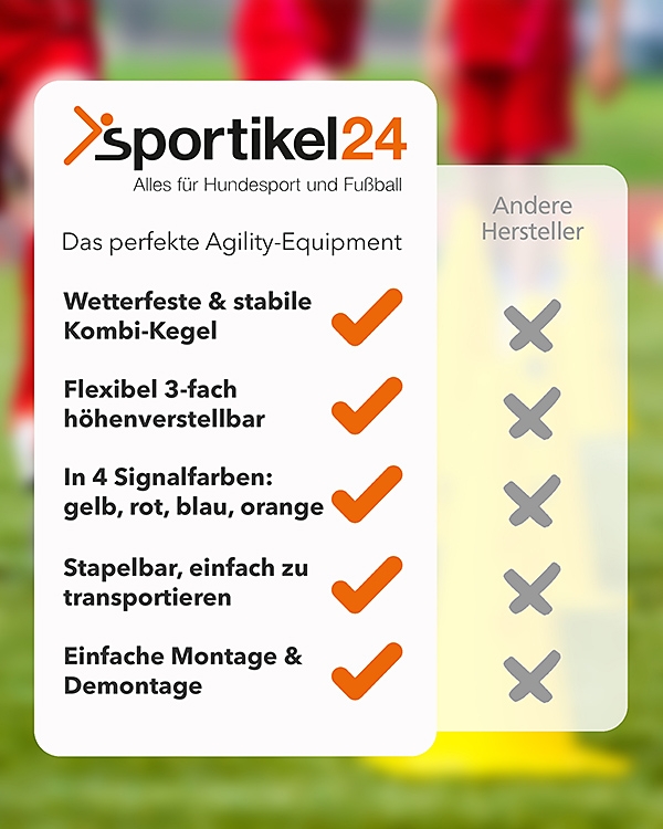 Kombi Kegel 40 cm hoch