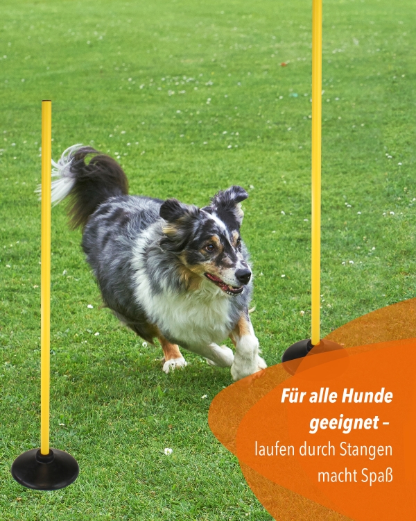 Scheibenfuß Slalomset