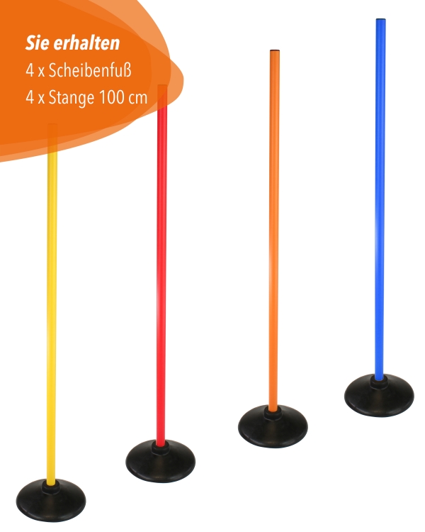 Scheibenfuß Slalomset