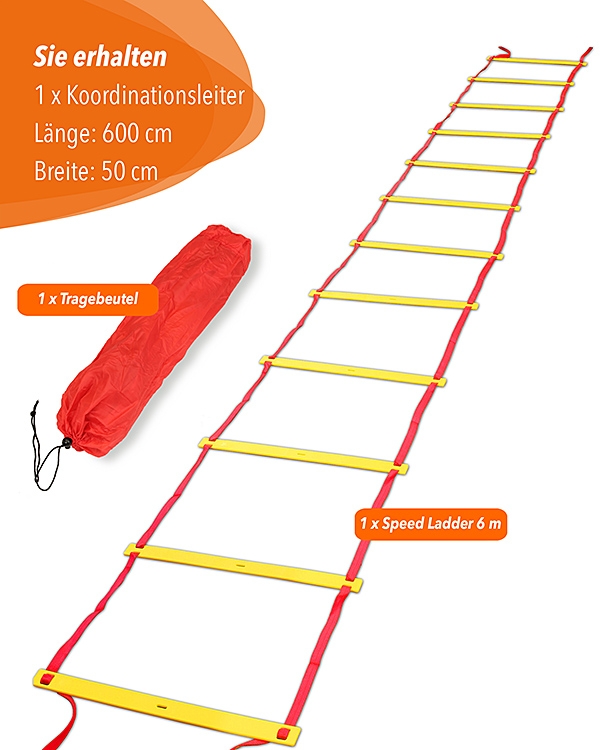 Koordinationsleiter-6m